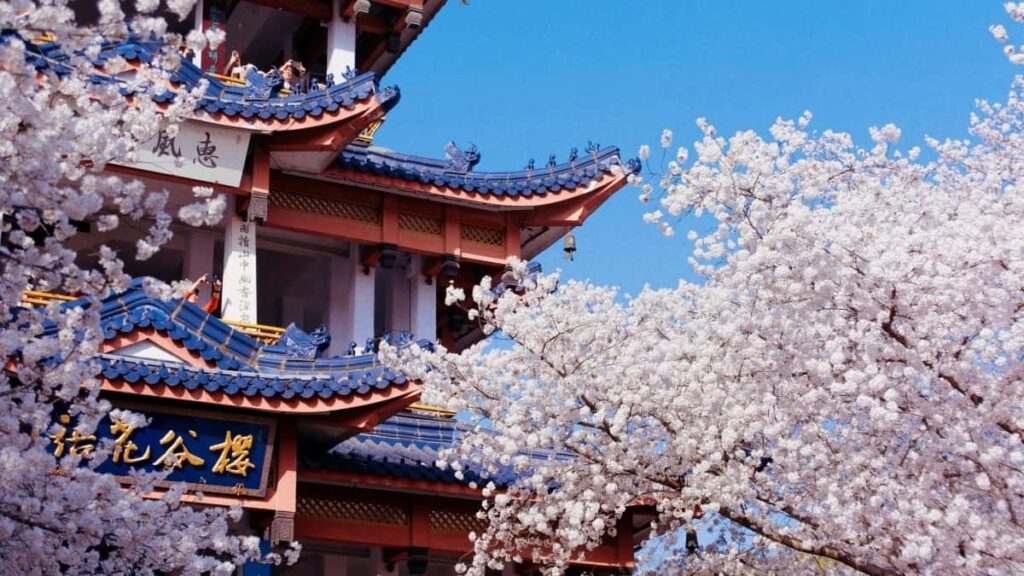 2025 China Twitter All Category Advertising Rate Card Guide
