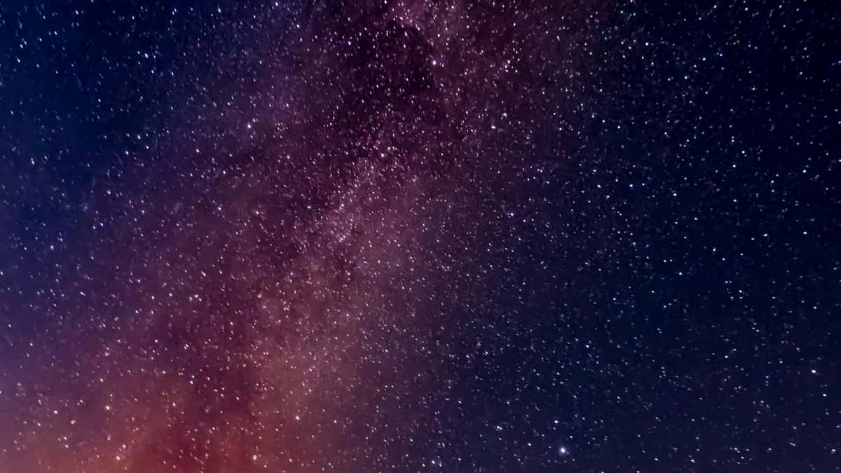 How Netflix Austria’s Brand Ambassador Program Is Changing the Game