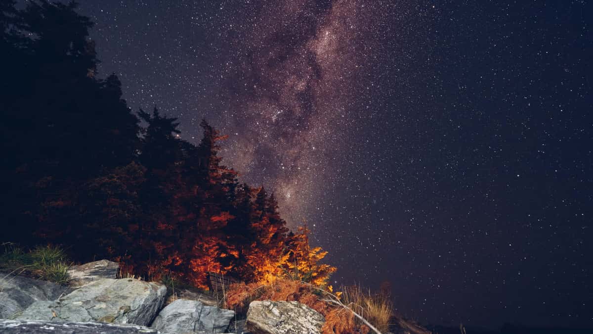 Creators’ Guide: Connecting with Myanmar Brands on Roposo for Game Key Giveaways