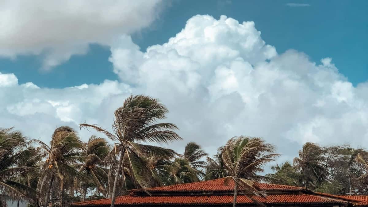 How Uruguay TikTok Creators Land Brand Ambassador Roles Fast
