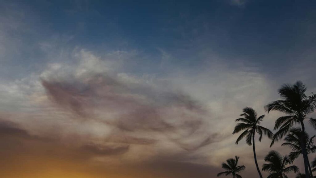Practical playbook for US advertisers to locate Algeria-based Shopee creators, set up micro-influencer product trials, and measure real impact step-by-step.
