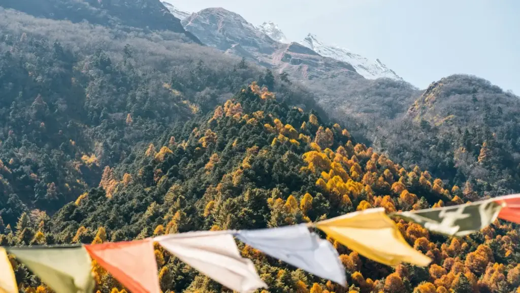 Discover practical ways US advertisers can connect with Ireland YouTube creators for killer co-branded product launches.