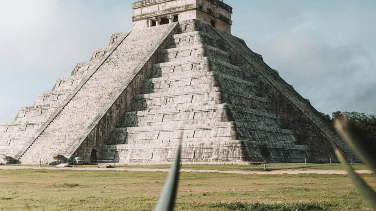 Find Puerto Rico HBO Max Creators for Winning Joint Campaigns