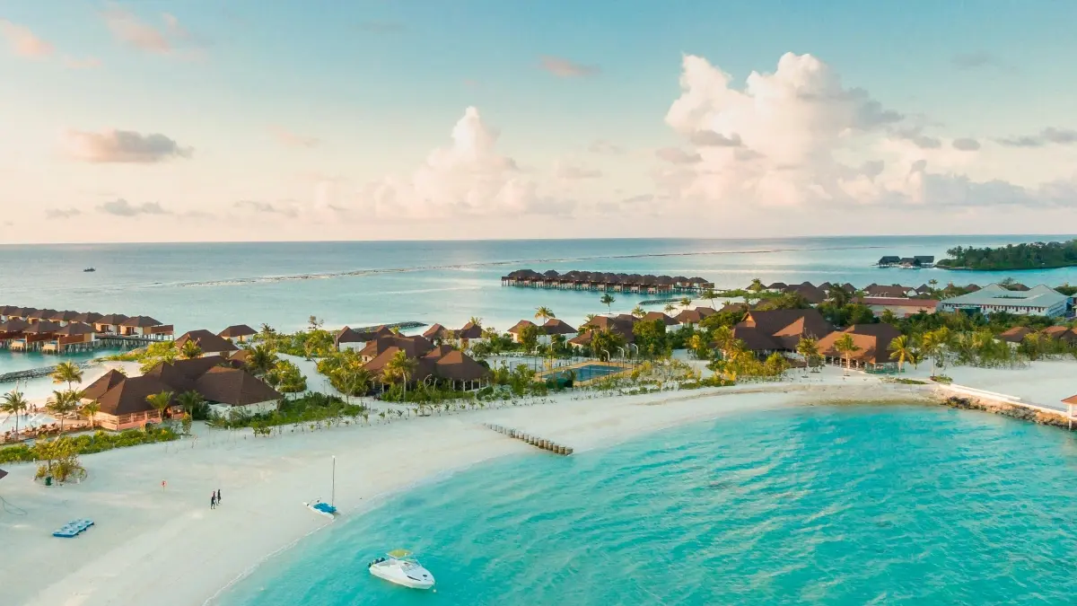 US Creators: Pitch Chile Brands on Rumble for Wellness Wins