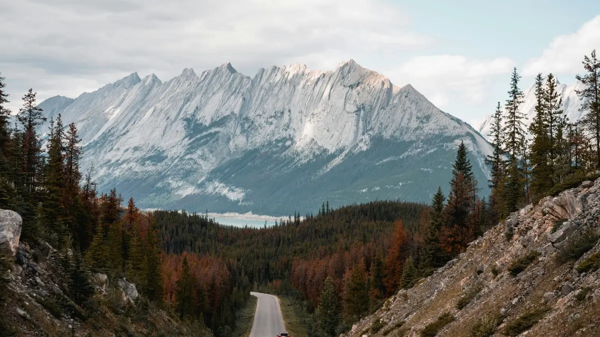 Creators’ Guide: How to Connect with Slovenia Brands on TikTok for UGC Wins