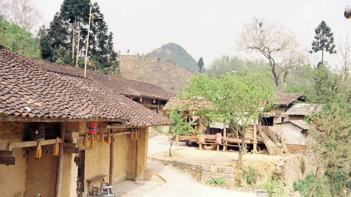 US Brands: Find Laos LINE Creators to Boost Global Awareness