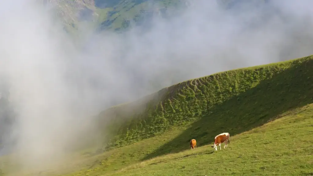 Practical guide for US advertisers to locate Venezuela Kuaishou creators, build seasonal fashion campaigns, and reduce friction across language, logistics, and culture.