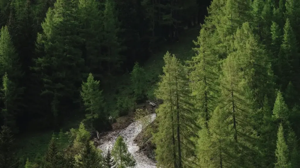 Practical playbook for US advertisers to find New Zealand LINE creators, run engagement-first campaigns, and use data-driven tools like creator discovery APIs and partnership ads.