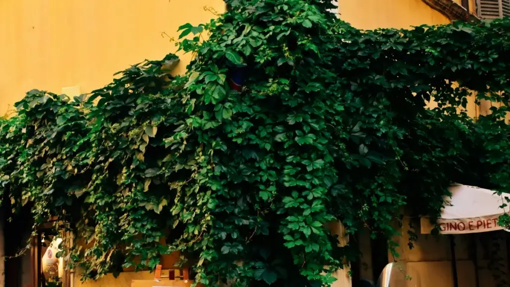 Practical guide for US-based creators to find, pitch, and partner with Croatia travel brands on Bilibili — includes outreach scripts, content formats (Travel Cards), and platform tactics.