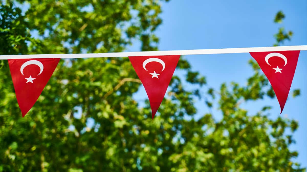US Creators: Reach Dominican Brands on Reddit Fast