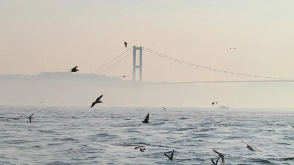 Practical playbook for US-based creators who want to find, pitch, and partner with Ivory Coast brands on Facebook to promote affiliate products — tactics, outreach scripts, and risk tips.