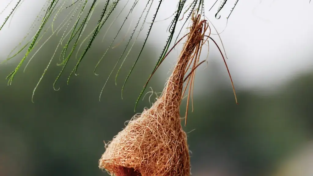 Practical playbook for US creators who want Myanmar brands on Viber to feature emerging artists — outreach channels, content hooks, safety notes, and campaign tips.