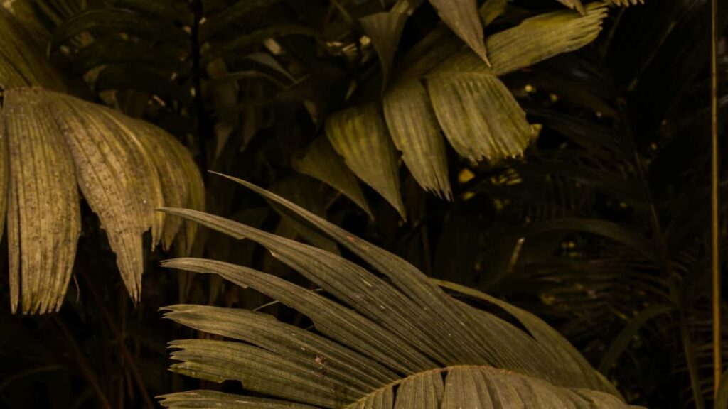 Practical playbook for U.S.-based creators who want to pitch UAE brands on Telegram to run music challenges outreach scripts, channel tactics, legal notes, and a local-first growth plan.