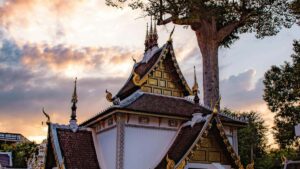 Step-by-step playbook for US advertisers to find Costa Rica-based Amazon creators and launch limited-edition drops using Amazon programs, local platform tactics, and conversion-first outreach.