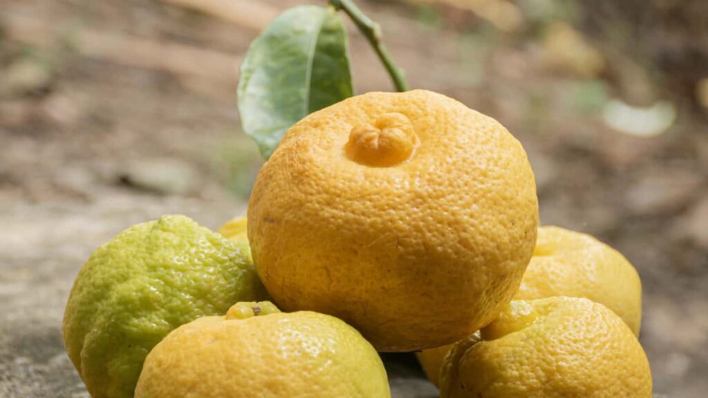 Practical guide for US advertisers to find New Zealand ShareChat creators, validate demand, and run low-risk tests using platform tactics, influencer search, and local trend signals.