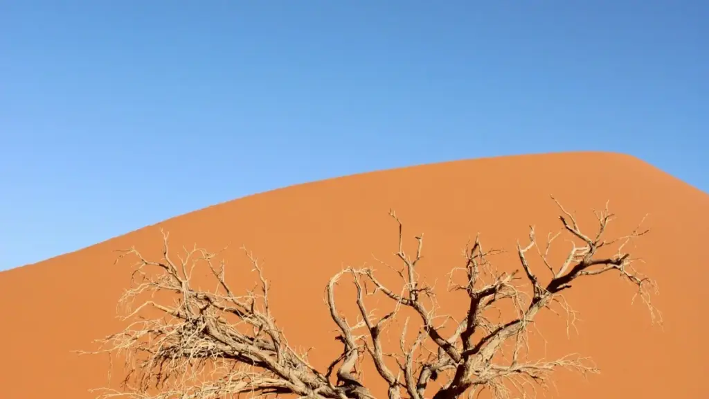 Practical guide for US advertisers to discover and collaborate with Vietnamese YouTube creators on dance challenges, with sourcing tips, platform context, and outreach templates.