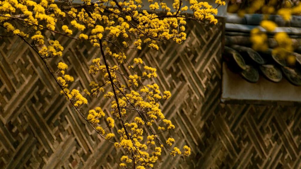 Practical playbook for US creators to find, pitch, and partner with Ecuador brands on Shopee for productivity guides step-by-step outreach, localized tactics, and platform tips.