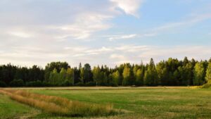 Practical guide for US advertisers to discover Bangladesh Spotify creators and negotiate fixed-fee promosstep-by-step outreach, vetting, pricing, and campaign playbooks.