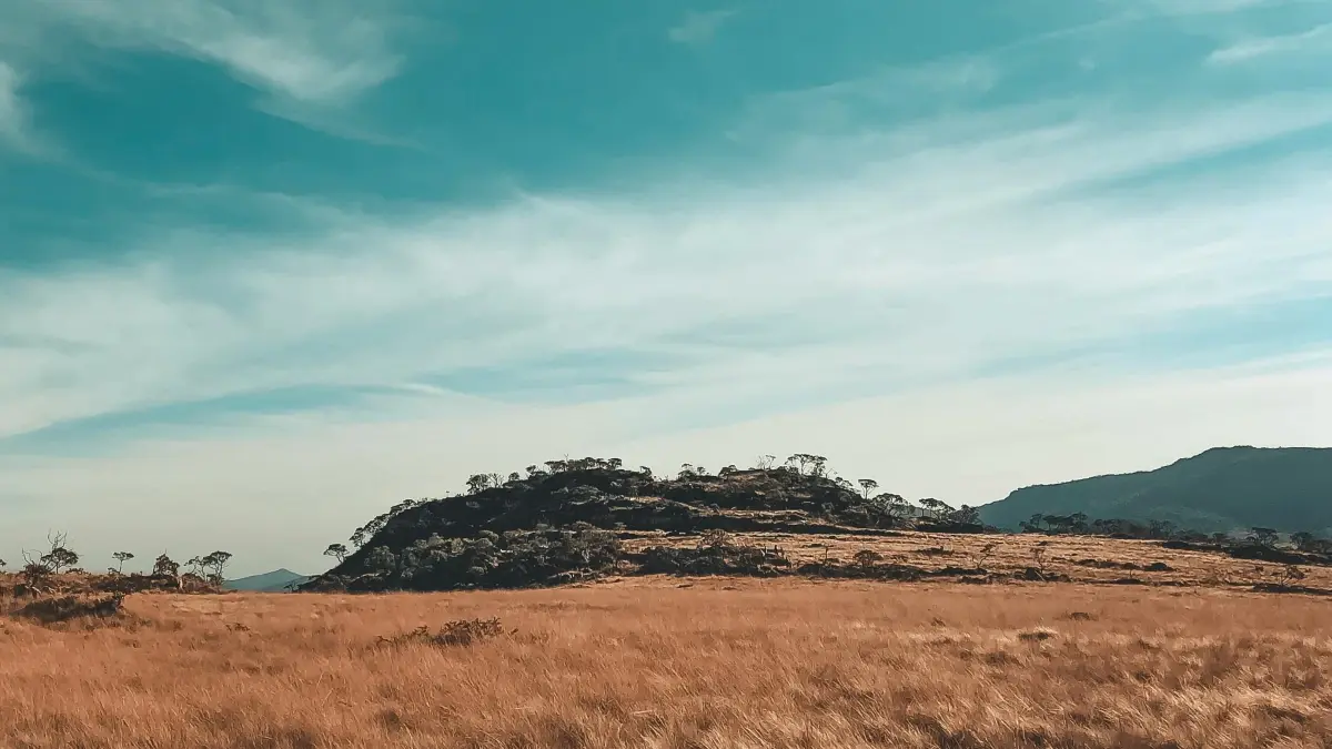 US Creators: Connect with Costa Rica Disney+ Brands Fast