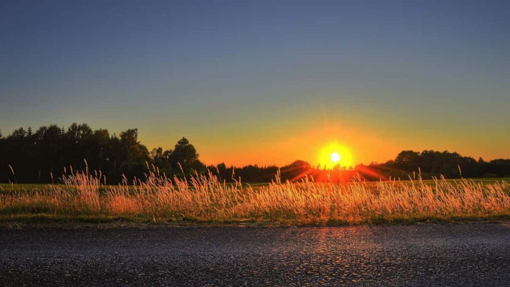 Practical playbook for US creators on how to find, pitch, and win Costa Rica brands that run promotions or ambassador programs tied to Disney Plus content and co-marketing.