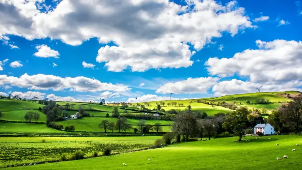 Practical guide for U.S. creators on finding and pitching Montenegro brands via Josh for unboxing and testimonial clips.