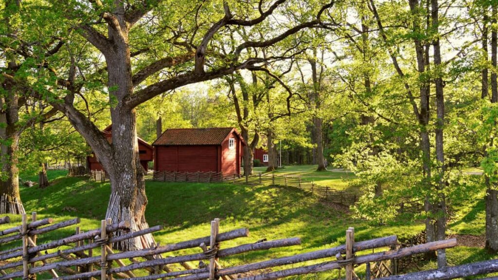 Practical playbook for US creators to connect with Peruvian brands via WhatsApp, pitch long-form product reviews, and convert outreach into briefs and paid work.