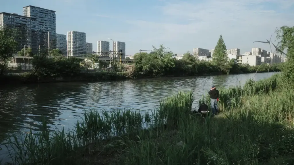 Practical playbook for US creators to pitch Puerto Rico brands on Pinterest and convert inspired browsers into online-course signups.