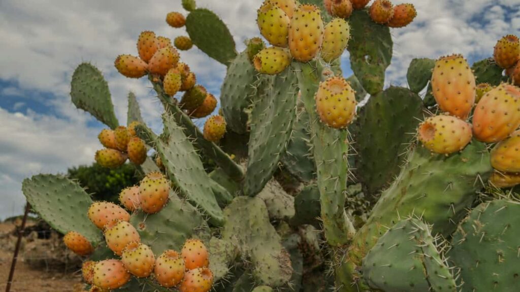 Practical playbook for U.S. advertisers to find and work with Thailand Reddit creators to boost visibility for travel destinations.