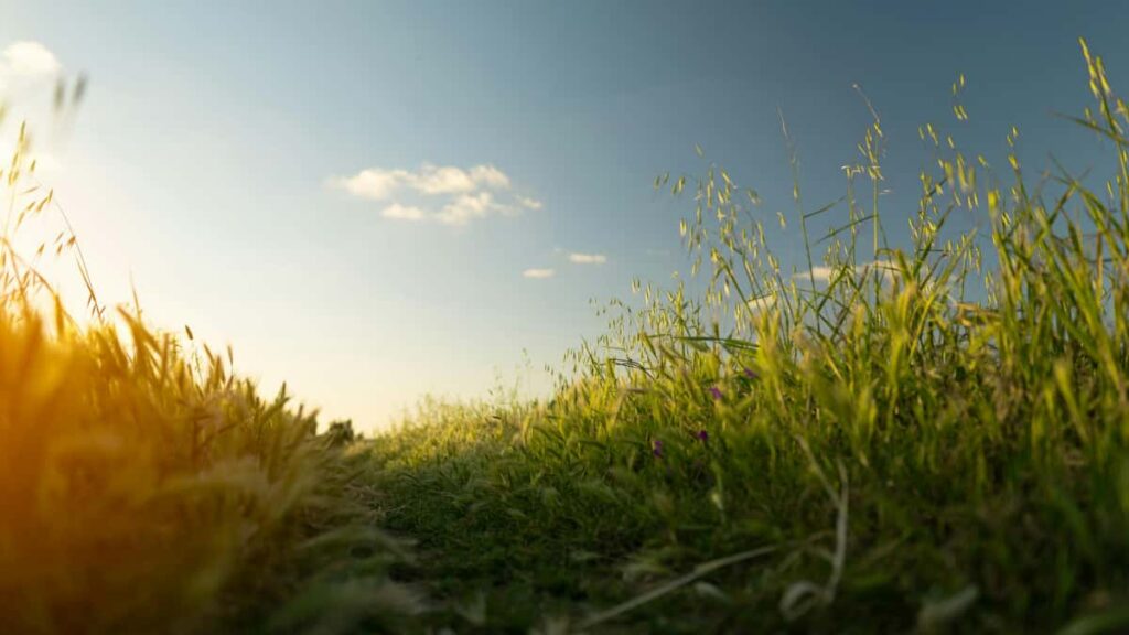 Practical guide for US advertisers to find and vet French Rumble creators for product concept tests, with platform tips, outreach scripts, and campaign safeguards.