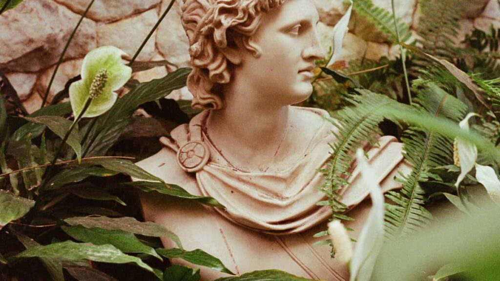 Step-by-step playbook for US creators to contact New Zealand beauty brands via WhatsApp, plus outreach scripts, timing tips, and conversion-ready follow-ups.