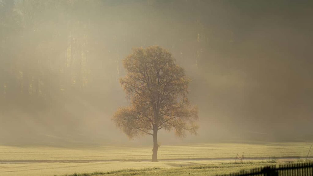 Practical playbook for US creators to connect with Finnish fashion brands on Clubhouse and land lookbook projectsnetworking scripts, outreach channels, creative offers, and follow-up tactics.