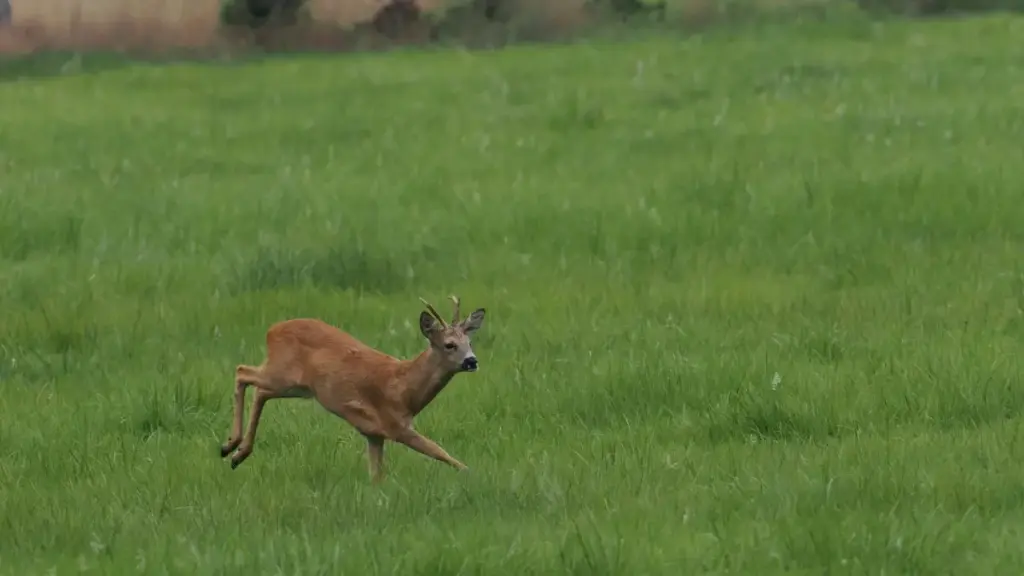 A practical playbook for US creators on how to find, contact, and pitch Iraq-based brands on Apple Music to review game features — with outreach templates, cultural tips, and platform strategies.