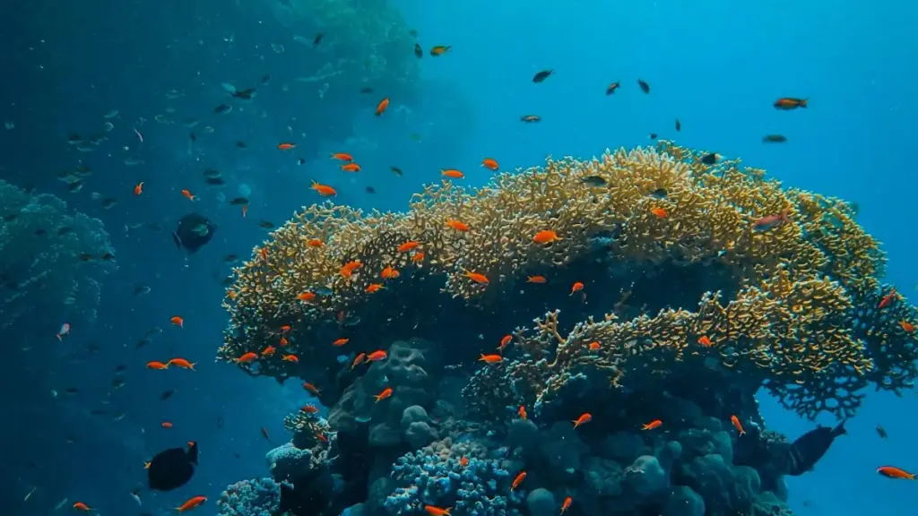 Practical playbook for US-based creators who want to pitch New Zealand beauty & skincare brands on WhatsApp — outreach templates, timing, compliance tips, and platform strategies.