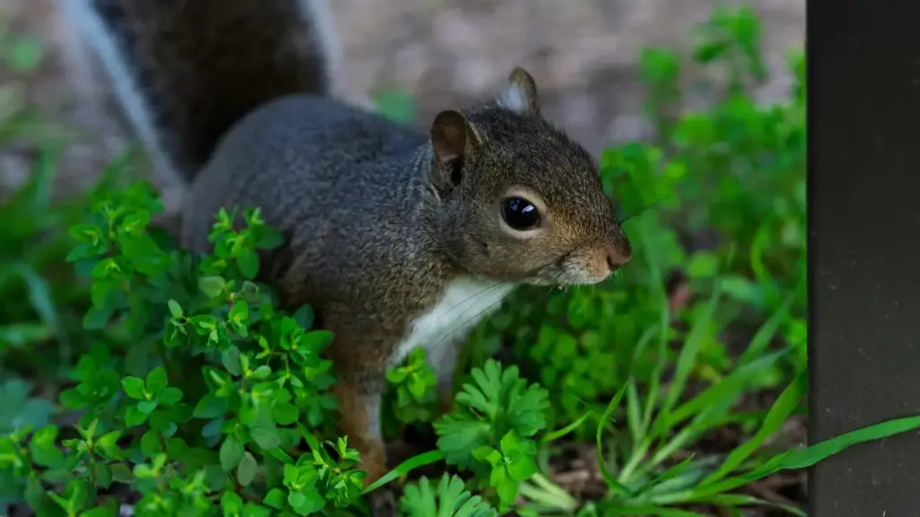 Practical guide for US creators on finding and pitching Puerto Rico-based Amazon brands to make GRWM videos — tips, outreach scripts, and platform tactics.