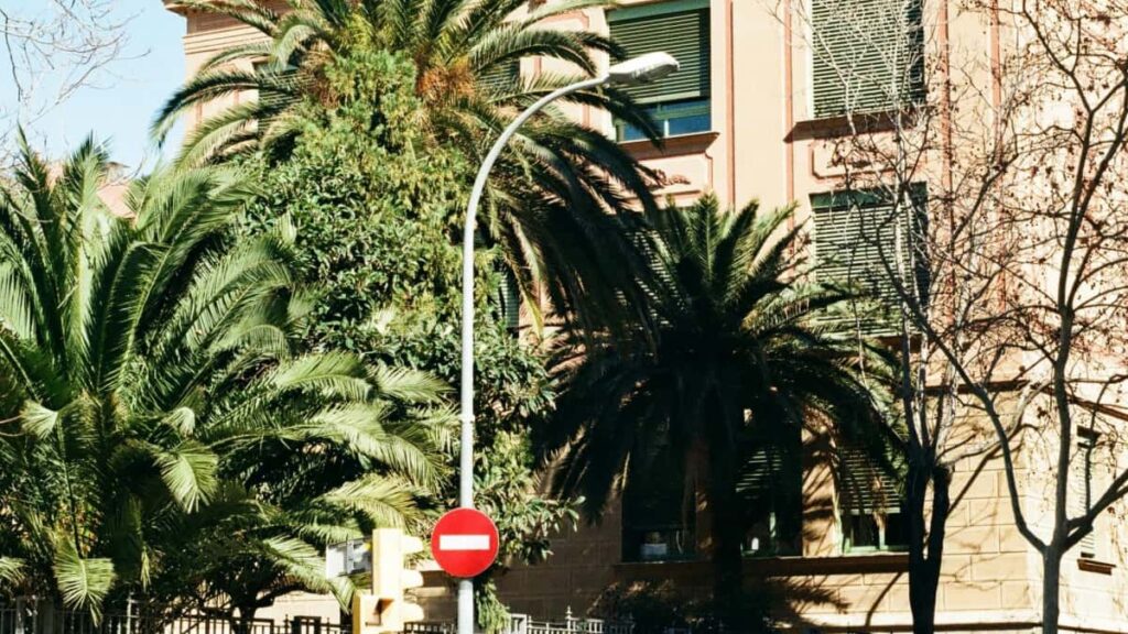 Practical, street-smart playbook for US creators on how to find, pitch, and collab with Puerto Rico brands selling on Amazon to create GRWM videos that convert.