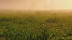 Practical playbook for US advertisers to find, vet, and book Germany-based Instagram creators for seasonal deals—tactical steps, platform tips, and compliance notes.