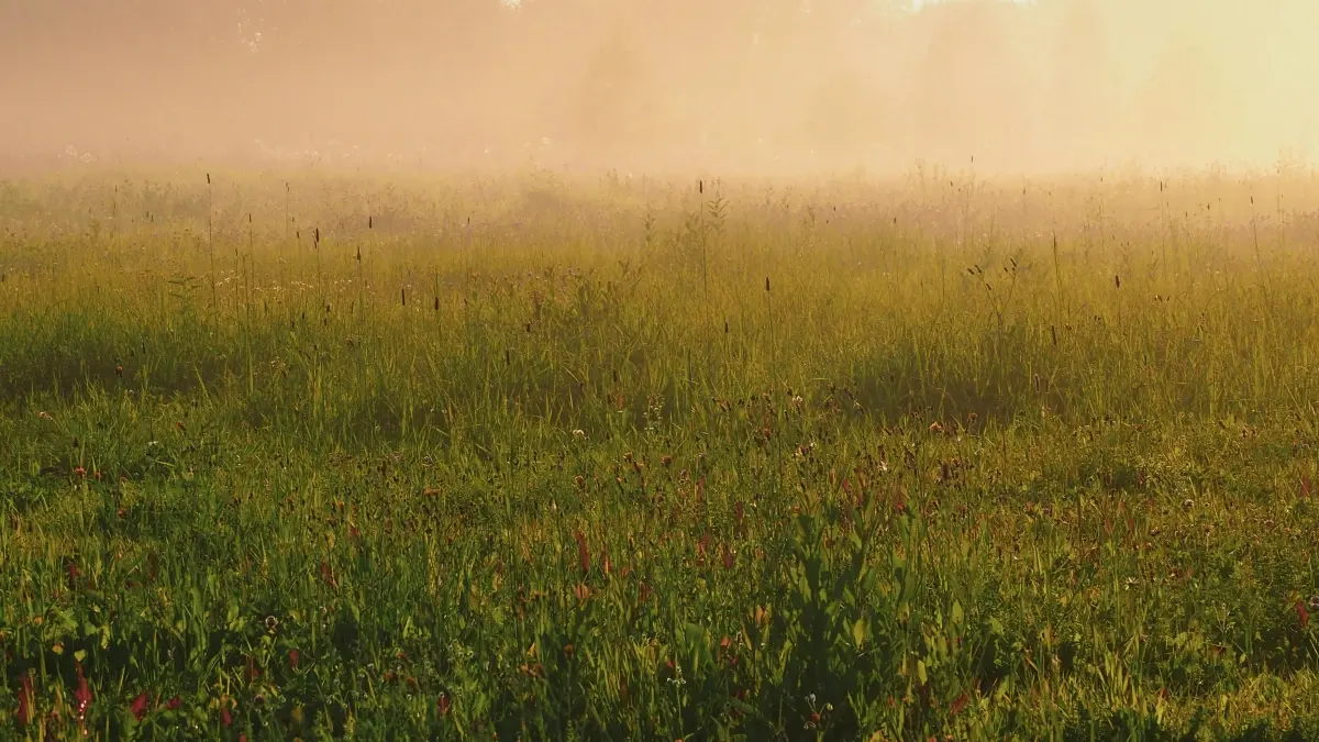 US Advertiser’s Guide: Find Germany Instagram Creators Fast