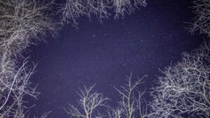 Practical playbook for U.S. advertisers to find Turkish eBay creators for creator-led tutorial series sourcing, outreach, legal checks, and campaign playbooks.