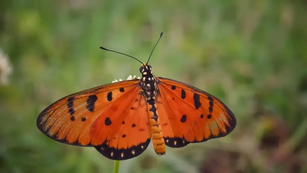 Practical playbook for US creators to find, pitch, and land sponsored hotel reviews with Kazakhstan brands via Pinterest—step-by-step outreach, creative hooks, and campaign tips.