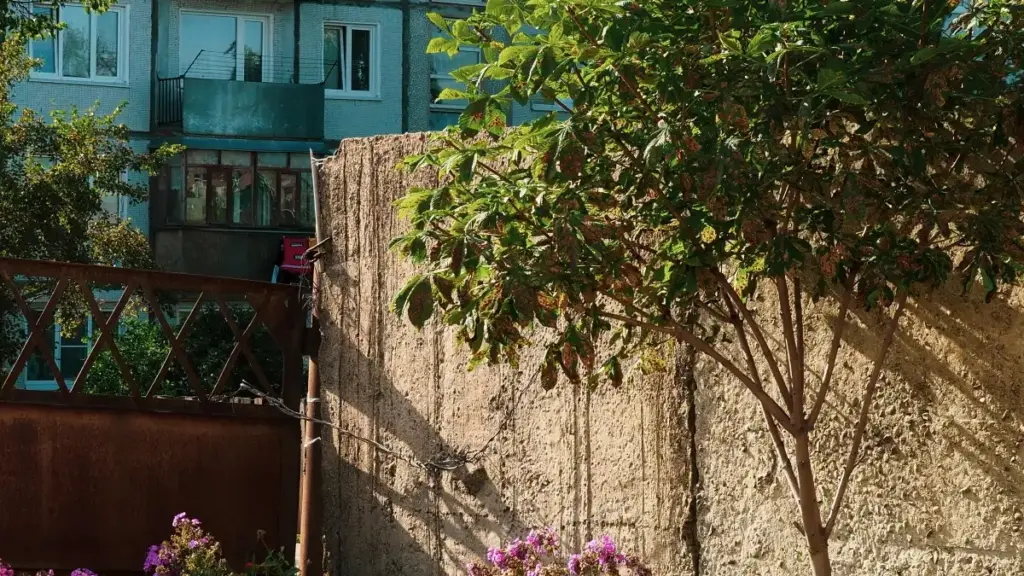 Practical playbook for US creators on how to contact Netherlands brands via Viber to review fitness equipment — outreach scripts, legal/PR tips, and channel tactics.