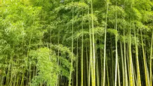 A tactical guide for US creators on contacting Jordan brands via Clubhouse to pitch game-key giveaways — outreach scripts, partnership angles, and event-play templates.