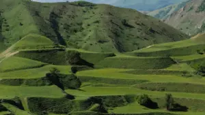 Practical playbook for US creators to connect with Pakistan brands on Twitch, add credibility to your media kit, and land partnerships in 2026.