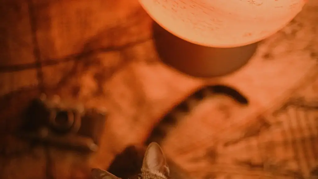 Practical, step-by-step playbook for US advertisers to discover and run sponsored Douyin challenges with Malta-based creators.