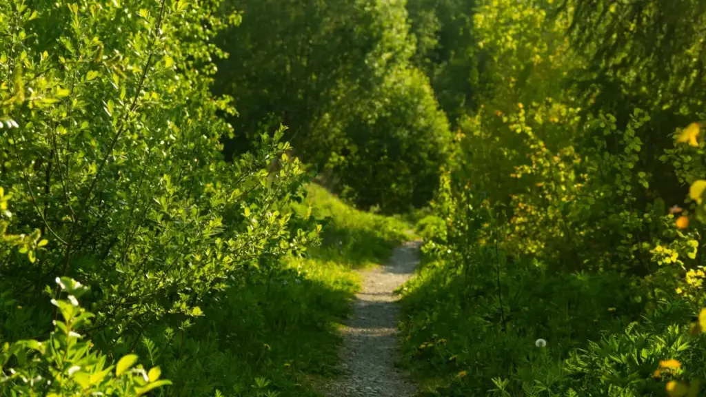 Step-by-step playbook for U.S. advertisers to find Polish Rumble creators, vet authenticity, and scale review campaigns.