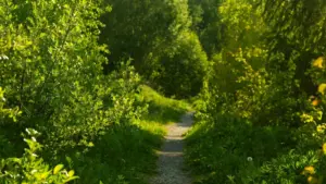 Step-by-step playbook for U.S. advertisers to find Polish Rumble creators, vet authenticity, and scale review campaigns.