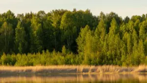 Practical, street-smart tactics for US creators to find and pitch Cambodian brands on SoundCloud for short-form branded videos — outreach scripts, platform tips, and market cues.