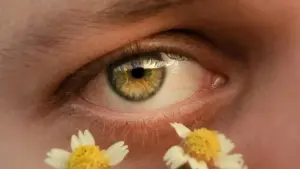 Practical, street-smart guide for US creators who want to pitch Denmark-based brands on HBO Max for live product demos — outreach scripts, partner tactics, and tech tools.