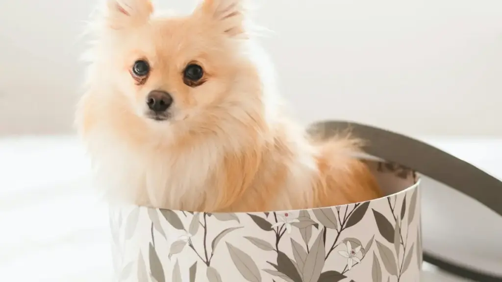 Practical playbook for US creators to find, pitch, and showcase sustainable Estonian Etsy makers — with outreach templates, platform tips, and promo ideas.