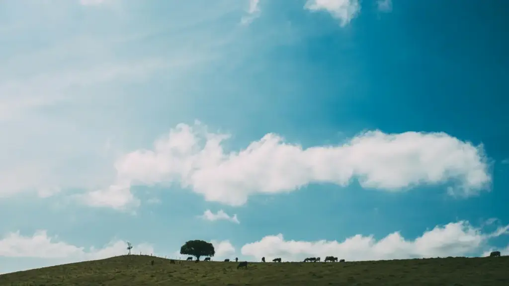 A practical playbook for finding Brazil-based Viber creators, vetting fit, and running influencer affiliate campaigns that drive real sales.