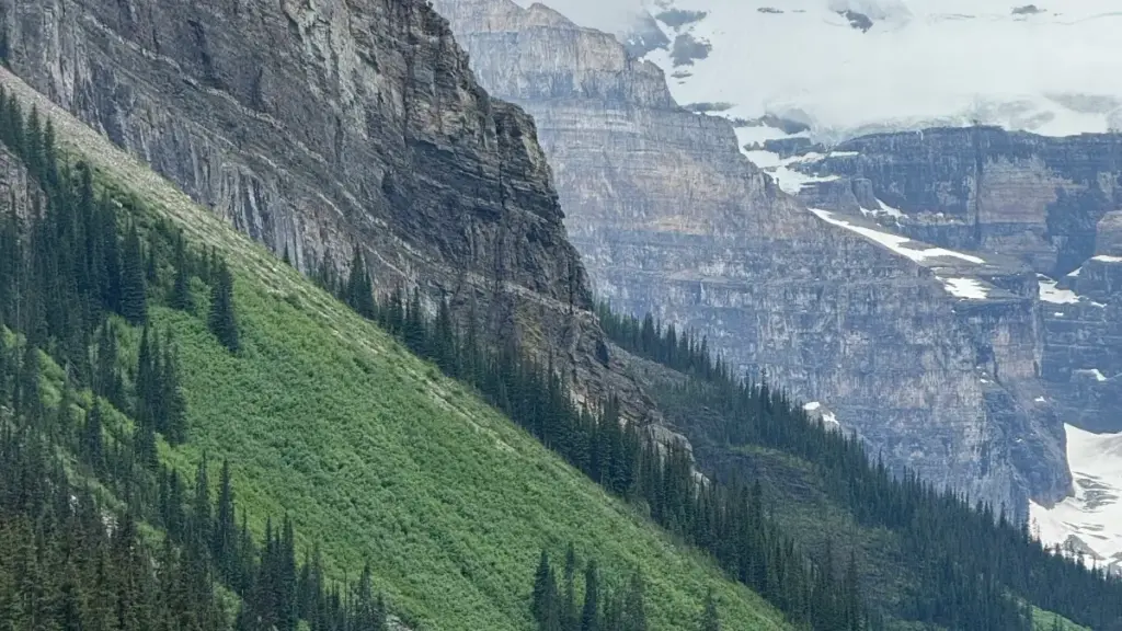 A practical playbook for U.S. advertisers finding India-based creators to make visual Hulu product reviews, with tools, trends, and smarter vetting tips.